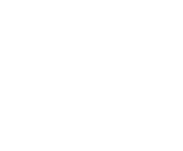 Evolution games at Chancoin Casino